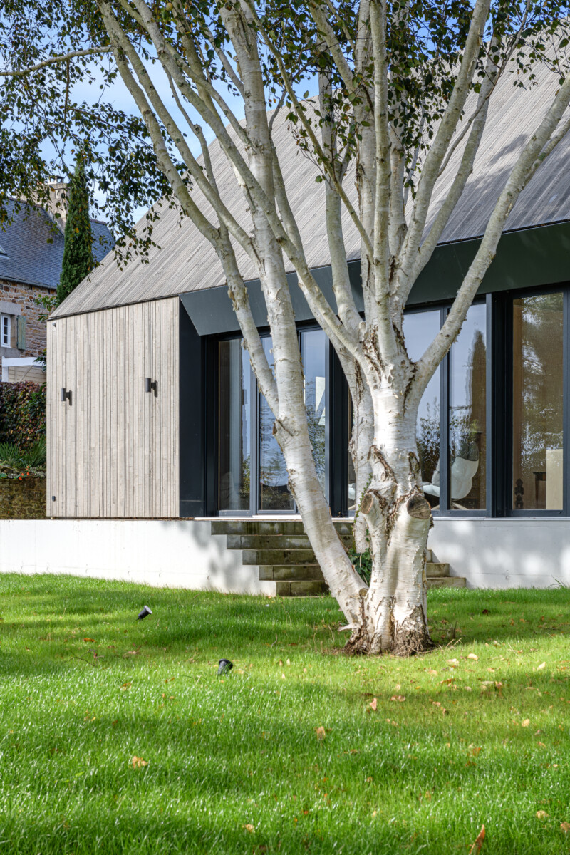 Maison passive habillée de bardage bois en châtaignier grisé, herbe verte et arbre boulot au premier plan 